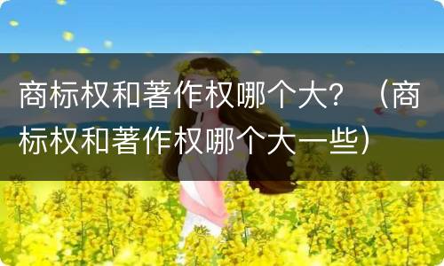 商标权和著作权哪个大？（商标权和著作权哪个大一些）