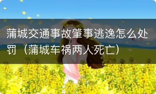 蒲城交通事故肇事逃逸怎么处罚（蒲城车祸两人死亡）