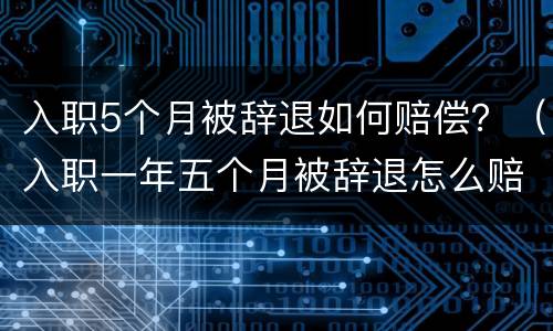 入职5个月被辞退如何赔偿？（入职一年五个月被辞退怎么赔偿）