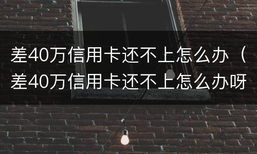 差40万信用卡还不上怎么办（差40万信用卡还不上怎么办呀）