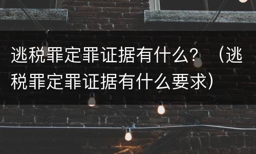逃税罪定罪证据有什么？（逃税罪定罪证据有什么要求）