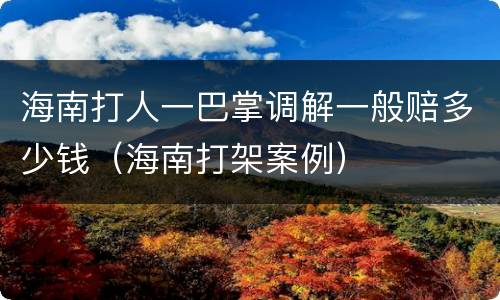 海南打人一巴掌调解一般赔多少钱（海南打架案例）