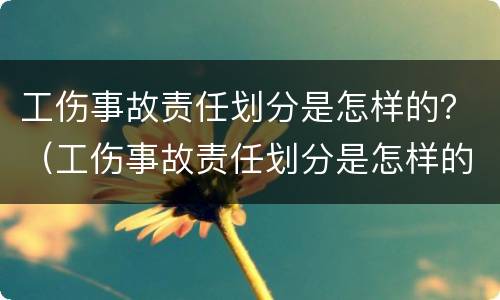 工伤事故责任划分是怎样的？（工伤事故责任划分是怎样的呢）