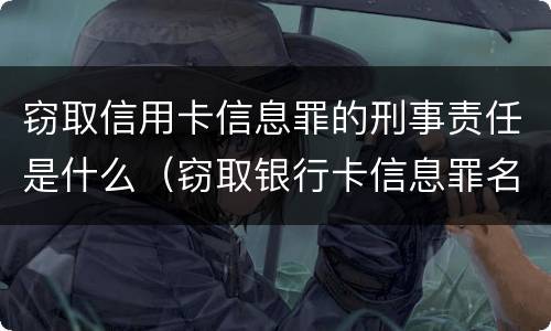 窃取信用卡信息罪的刑事责任是什么（窃取银行卡信息罪名）