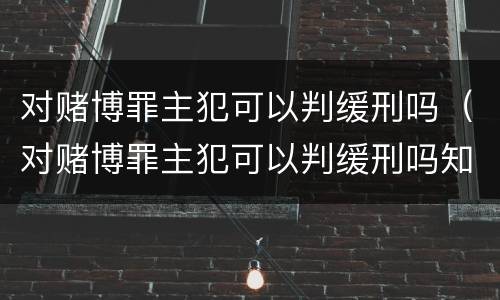 对赌博罪主犯可以判缓刑吗（对赌博罪主犯可以判缓刑吗知乎）