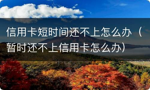 信用卡短时间还不上怎么办（暂时还不上信用卡怎么办）