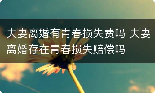 夫妻离婚有青春损失费吗 夫妻离婚存在青春损失赔偿吗