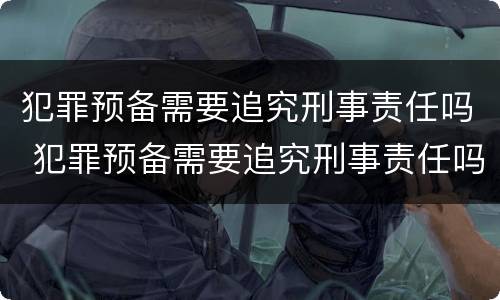 犯罪预备需要追究刑事责任吗 犯罪预备需要追究刑事责任吗对吗