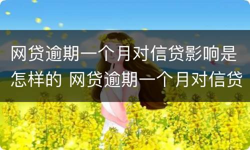 网贷逾期一个月对信贷影响是怎样的 网贷逾期一个月对信贷影响是怎样的结果