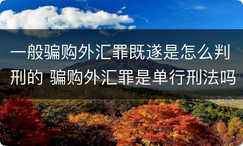 一般骗购外汇罪既遂是怎么判刑的 骗购外汇罪是单行刑法吗