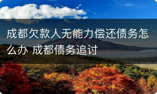 成都欠款人无能力偿还债务怎么办 成都债务追讨