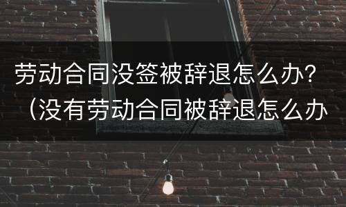 劳动合同没签被辞退怎么办？（没有劳动合同被辞退怎么办）