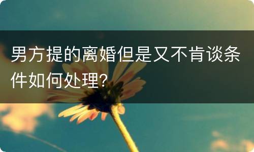 男方提的离婚但是又不肯谈条件如何处理？