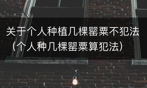 关于个人种植几棵罂粟不犯法（个人种几棵罂粟算犯法）