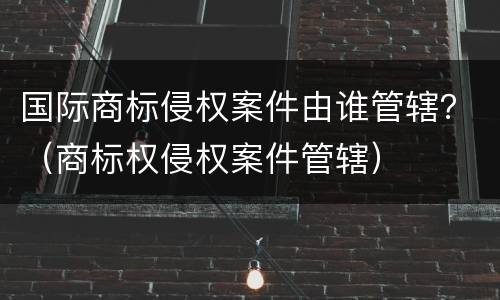 国际商标侵权案件由谁管辖？（商标权侵权案件管辖）