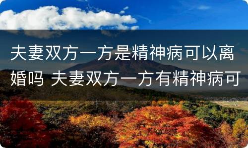 夫妻双方一方是精神病可以离婚吗 夫妻双方一方有精神病可以离婚吗