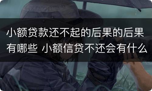 小额贷款还不起的后果的后果有哪些 小额信贷不还会有什么后果