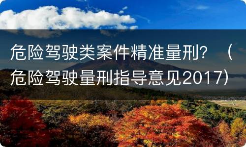 危险驾驶类案件精准量刑？（危险驾驶量刑指导意见2017）