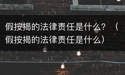 假按揭的法律责任是什么？（假按揭的法律责任是什么）