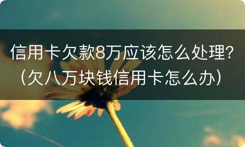 信用卡欠款8万应该怎么处理？（欠八万块钱信用卡怎么办）