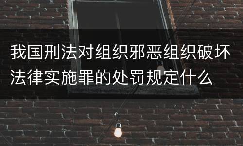 我国刑法对组织邪恶组织破坏法律实施罪的处罚规定什么