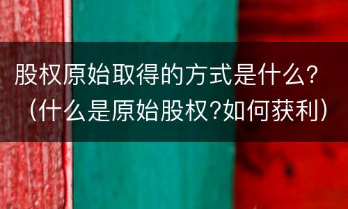 股权原始取得的方式是什么？（什么是原始股权?如何获利）