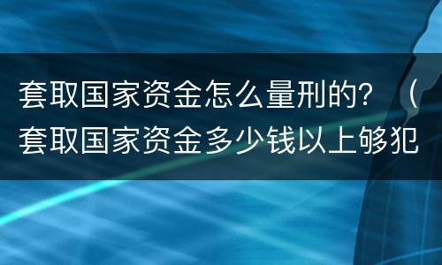 套取国家资金怎么量刑的？（套取国家资金多少钱以上够犯罪）