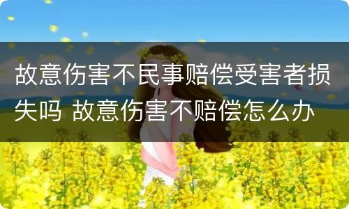 故意伤害不民事赔偿受害者损失吗 故意伤害不赔偿怎么办