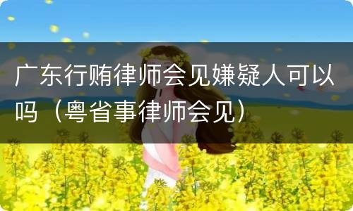 广东行贿律师会见嫌疑人可以吗（粤省事律师会见）