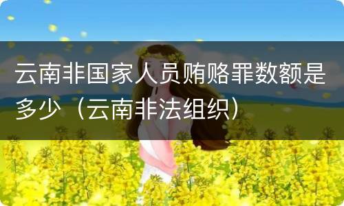 云南非国家人员贿赂罪数额是多少（云南非法组织）
