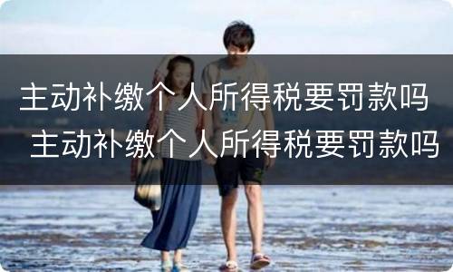 主动补缴个人所得税要罚款吗 主动补缴个人所得税要罚款吗多少钱