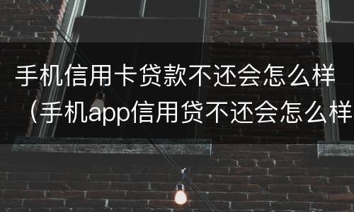 手机信用卡贷款不还会怎么样（手机app信用贷不还会怎么样?）