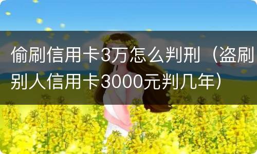偷刷信用卡3万怎么判刑（盗刷别人信用卡3000元判几年）