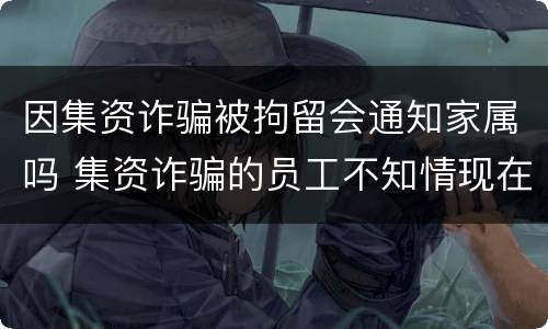 因集资诈骗被拘留会通知家属吗 集资诈骗的员工不知情现在被拘留