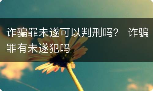诈骗罪未遂可以判刑吗？ 诈骗罪有未遂犯吗