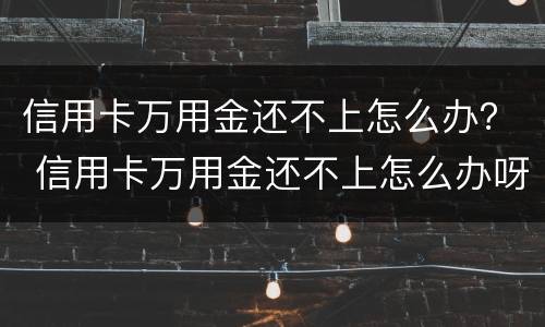 信用卡万用金还不上怎么办？ 信用卡万用金还不上怎么办呀