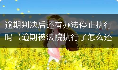 逾期判决后还有办法停止执行吗（逾期被法院执行了怎么还）