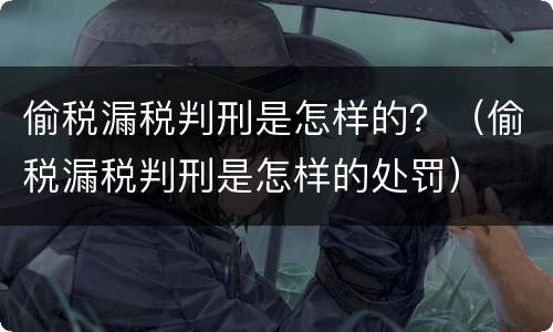 偷税漏税判刑是怎样的？（偷税漏税判刑是怎样的处罚）