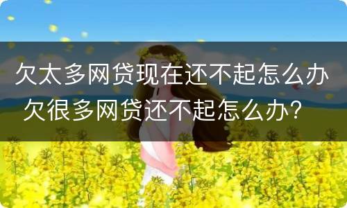 欠太多网贷现在还不起怎么办 欠很多网贷还不起怎么办?