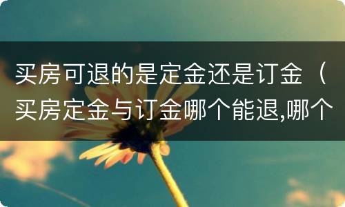 买房可退的是定金还是订金（买房定金与订金哪个能退,哪个不能退?）