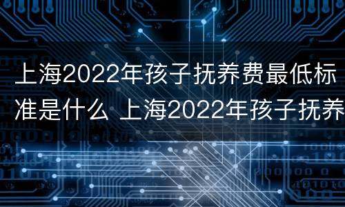 上海2022年孩子抚养费最低标准是什么 上海2022年孩子抚养费最低标准是什么呢