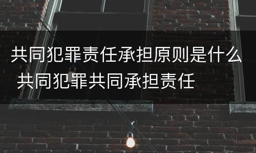 共同犯罪责任承担原则是什么 共同犯罪共同承担责任