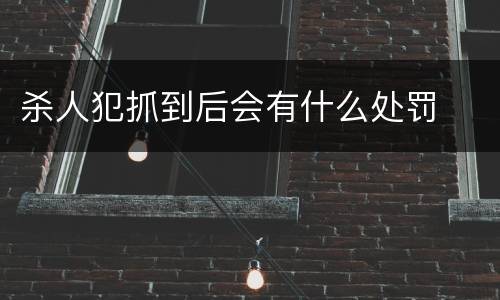 杀人犯抓到后会有什么处罚