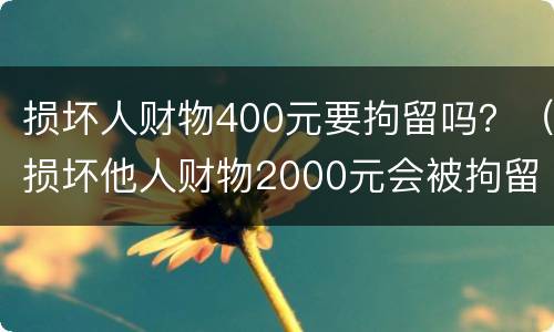 损坏人财物400元要拘留吗？（损坏他人财物2000元会被拘留）