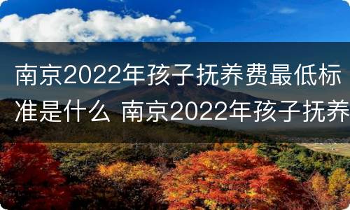 南京2022年孩子抚养费最低标准是什么 南京2022年孩子抚养费最低标准是什么时候发放