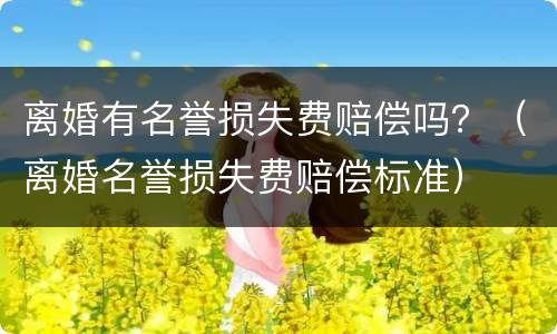 离婚有名誉损失费赔偿吗？（离婚名誉损失费赔偿标准）