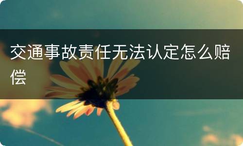 交通事故责任无法认定怎么赔偿
