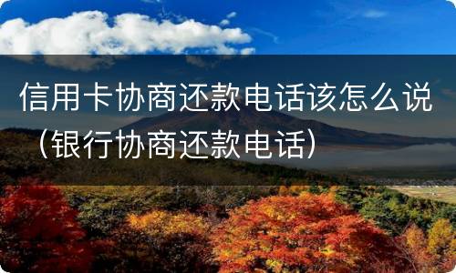 信用卡协商还款电话该怎么说（银行协商还款电话）
