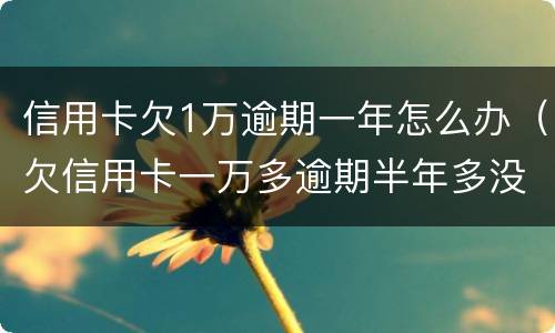 信用卡欠1万逾期一年怎么办（欠信用卡一万多逾期半年多没还会怎么样?）