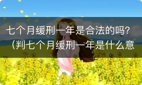 七个月缓刑一年是合法的吗？（判七个月缓刑一年是什么意思）
